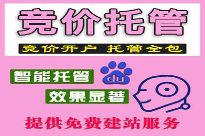 案例对比：关键词竞价排名策略优化